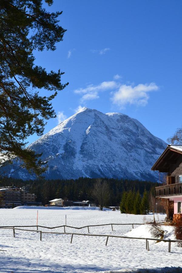 Andys Bergblick Apartment Лойташ Екстериор снимка
